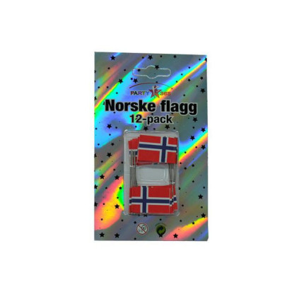 Norske flagg på nål FESTIVAL (12)