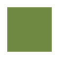 Serviett DUNI 3L 33cm Leaf Green (125)