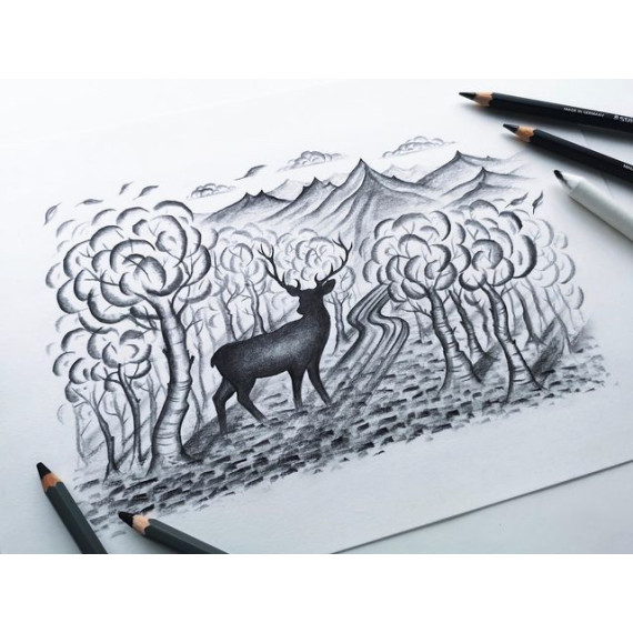 Tegnesett STAEDTLER grafit (12)