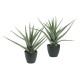 Kunstig plante Aloe vera 56cm
