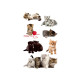 Etikett AVERY dekor søte kattunger (3)