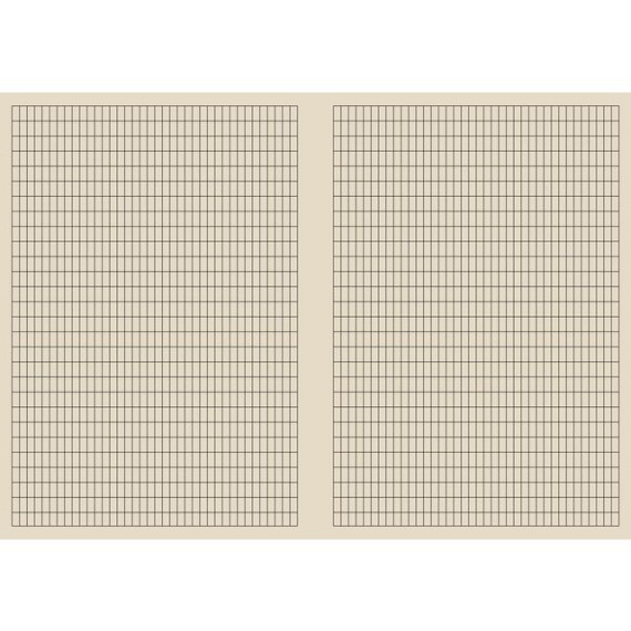 Arbeidsbok A4 80g 5x10 rutet