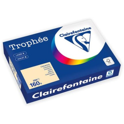 Kopipapir TROPHEE A4 160g fersken (250)