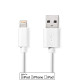 Kabel NEDIS USB til lightning 1m